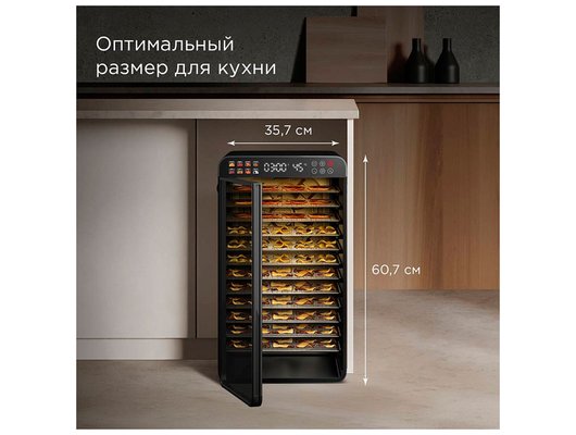 Сушилка РЕДМОНД FD1104 черный